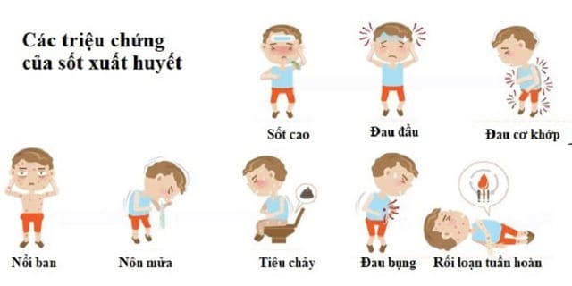 Các triệu chứng của bệnh sốt xuất huyết ở trẻ em