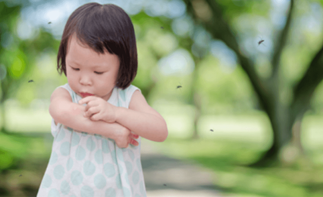 Trẻ em thường bị muỗi gây bệnh sốt xuất huyết tấn công. Ảnh minh họa