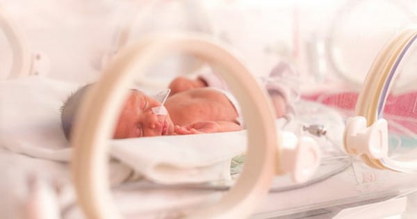 Còn ống động mạch là bệnh lý hay gặp ở trẻ sinh non.