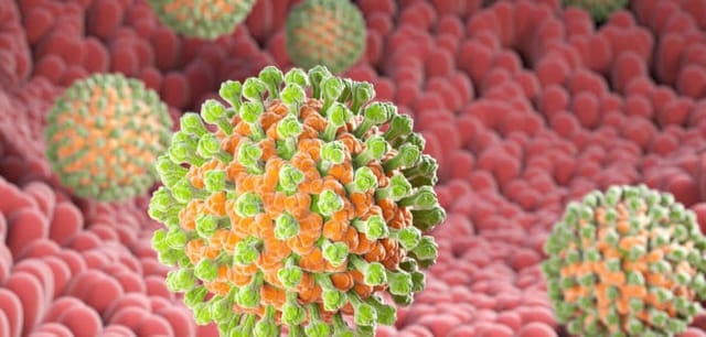 Rotavirus là nguyên nhân phổ biến gây nôn và tiêu chảy ở trẻ em.