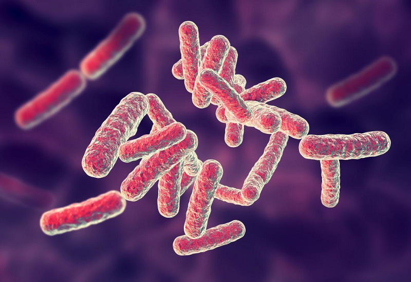 Sốt nhiễm khuẩn được chẩn đoán bệnh dựa trên loại vi khuẩn gây bệnh.