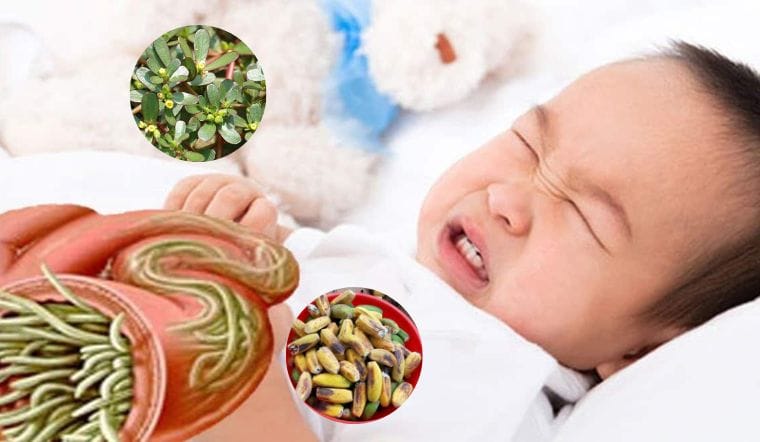 Nhiễm giun sán là vấn đề có thể gặp ở mọi đối tượng. Ảnh minh hoạ.