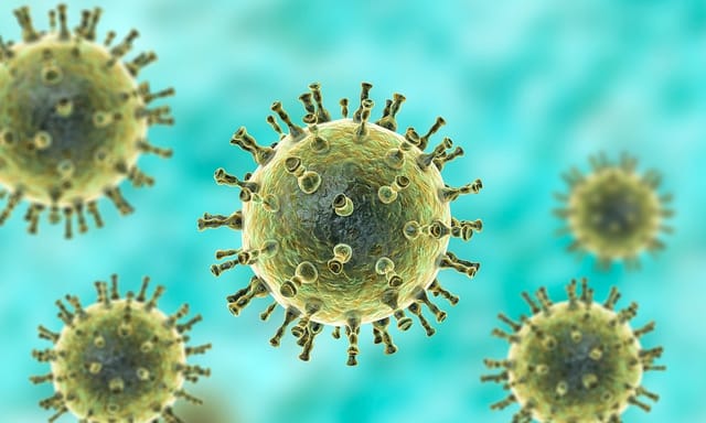 ‎Bệnh thủy đậu do virus Varicella Zoster Virus (VZV) gây nên và là một bệnh rất dễ lây truyền.