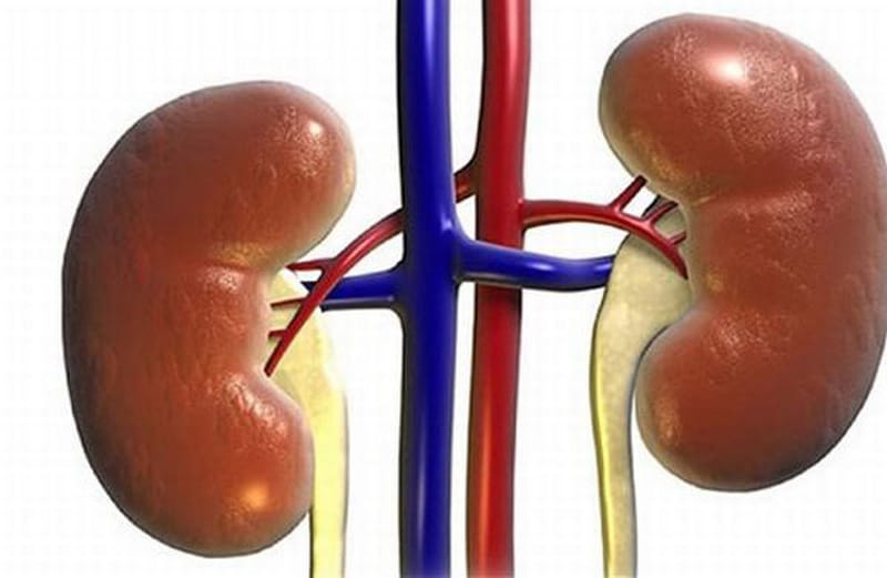 Bệnh thận mạn tính là có sự xuất hiện của các tổn thương thận.