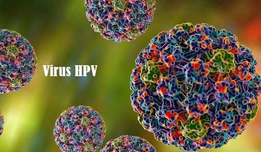 Virus HPV vẫn còn tồn tại ở bên trong cơ thể nên việc tái phát sùi mào gà là điều dễ dàng xảy ra.
