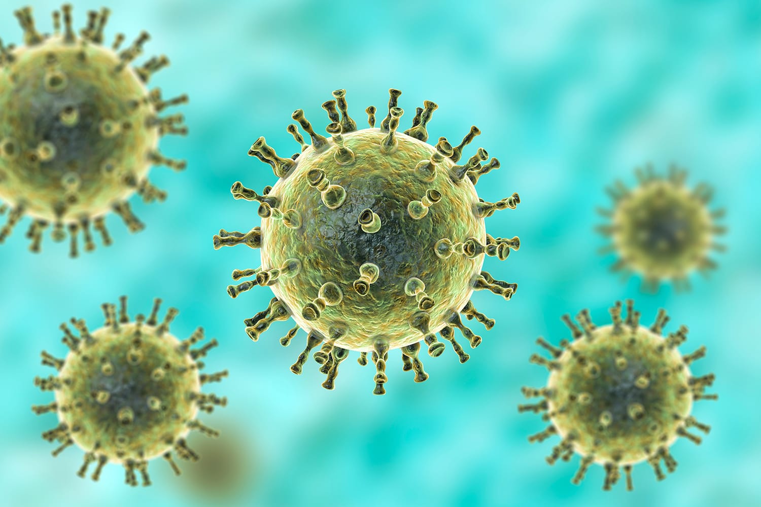 Thủy đậu là một bệnh lây nhiễm thường gặp.