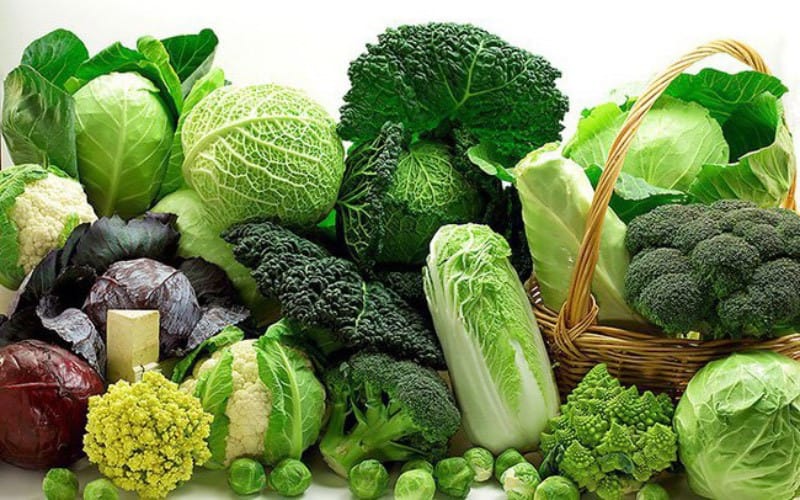 Rau xanh cung cấp nhiều vitamin, khoáng chất và chất xơ cần thiết cho sự phát triển của trẻ.