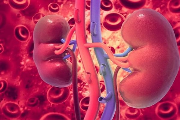 Cảnh giác với chấn thương thận ở trẻ sau té ngã