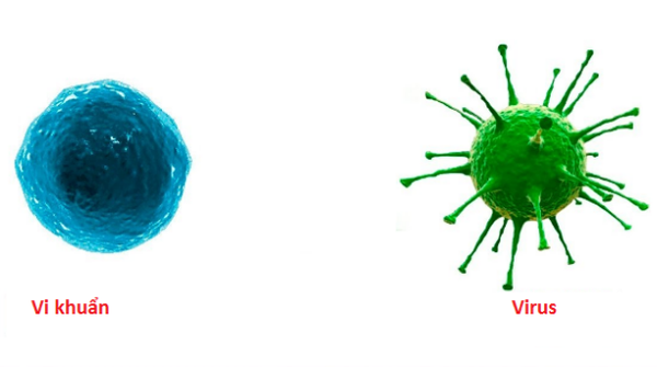 Nhận biết trẻ bị lây nhiễm virus