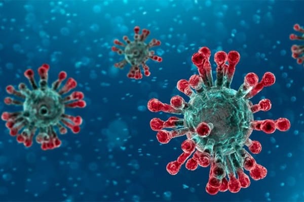 Virus gây bệnh ở trẻ em: Phòng ngừa thế nào để đạt hiệu quả?