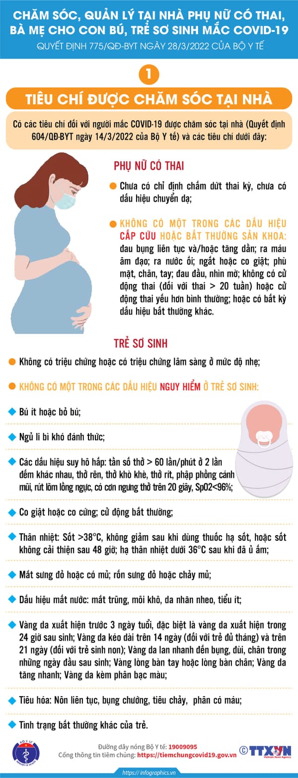[Infographic] - Chăm sóc F0 mang thai, mẹ cho con bú và trẻ sơ sinh điều trị tại nhà